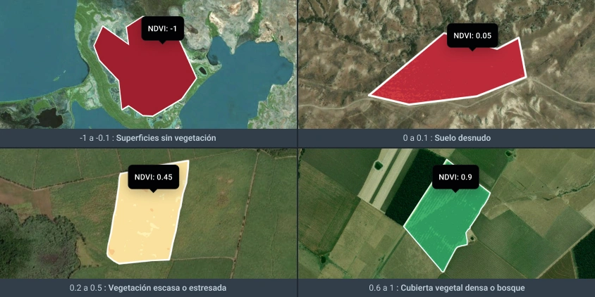 Análisis NDVI satelital